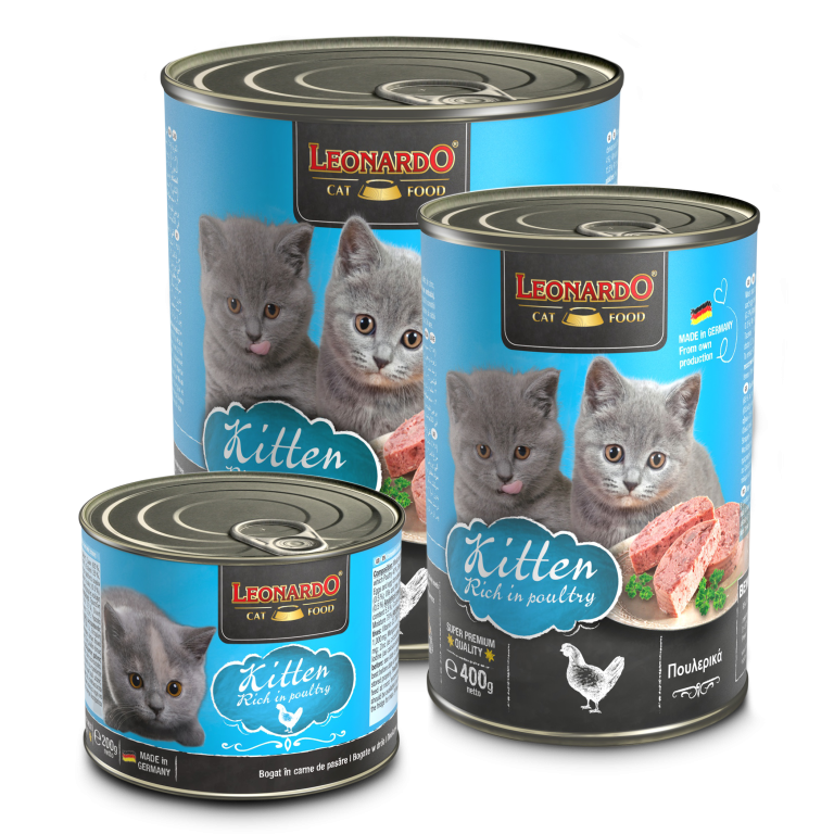 LEONARDO® Kitten